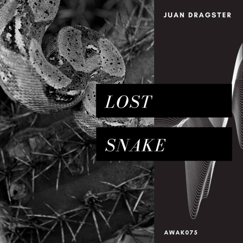 Juan Dragster - Lost Snake [AWAK075]